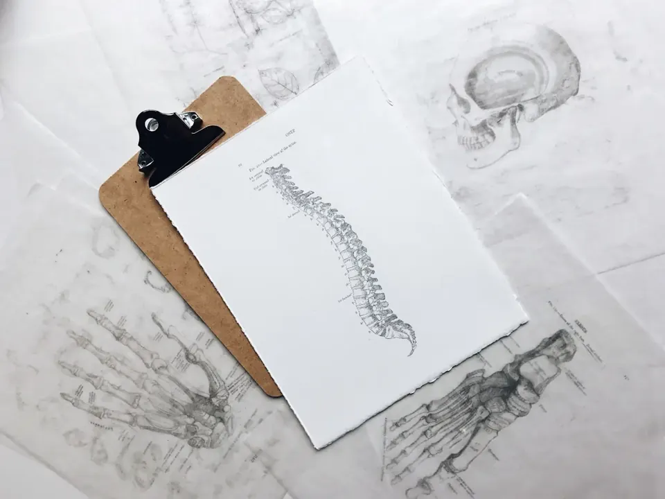 Clipboard with a diagram of the spine